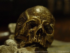 ≪QUETZAL≫ヴァニタススカルリング/ブラス